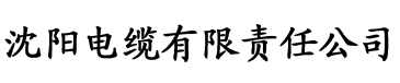 亚洲AⅤ永久无码精品毛片电缆厂logo